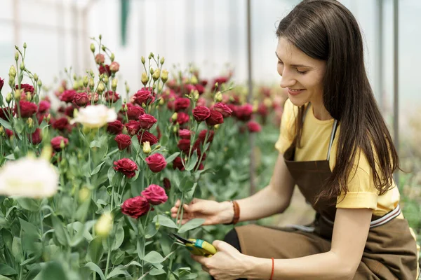 Young Florist Apron Working Greenhouse Cheerful Woman Working Flowers Inspecting — Stock Photo, Image