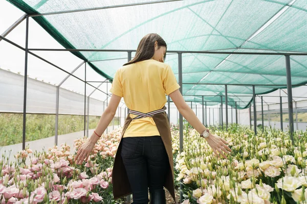 Young Florist Apron Working Greenhouse Cheerful Woman Walking Flowers Inspecting — ストック写真