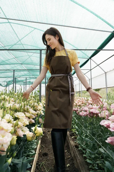 Young Florist Apron Working Greenhouse Cheerful Woman Walking Flowers Inspecting — ストック写真