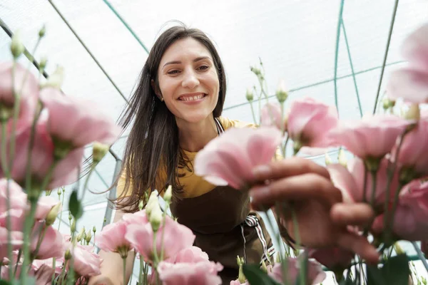 Young Florist Apron Working Greenhouse Woman Working Flowers Inspecting Them — Stock Photo, Image