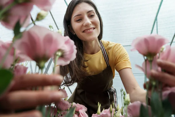 Young Florist Apron Working Greenhouse Woman Working Flowers Inspecting Them — ストック写真