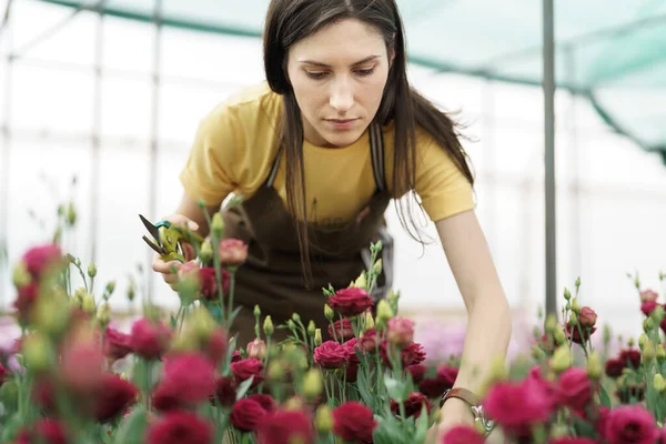Young Florist Apron Working Greenhouse Women Profesions Working Flowers — ストック写真