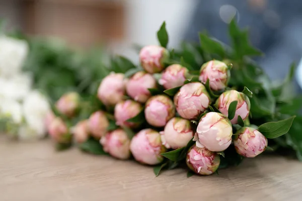 Ταπετσαρία Υπέροχα Λουλούδια Ροζ Φρέσκα Παιώνιες Μπουμπούκια Ένα Μάτσο Λουλούδια — Φωτογραφία Αρχείου
