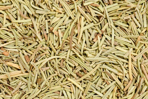 Rosemary close up of a food background — Stock Photo, Image