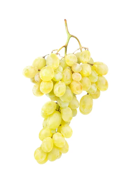 White grapes gsolated on white background — Stock Photo, Image
