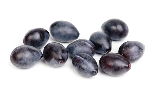 Some fresh blue plums on the white background — Stock Photo, Image