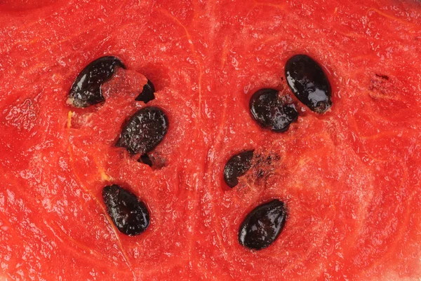 Dílek melounu jako potraviny pozadí — Stock fotografie