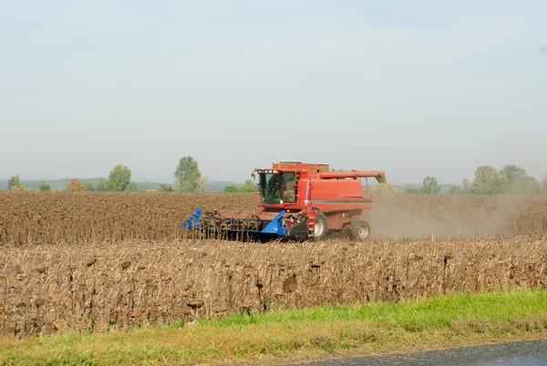 Harvesting of sunflower seeds with combine — Stock Photo, Image
