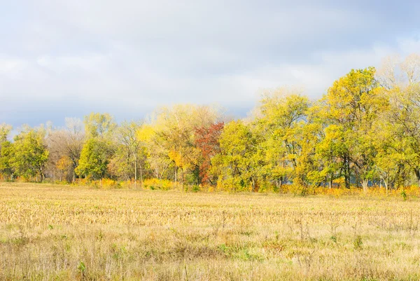 Hermoso paisaje de otoño — Foto de Stock