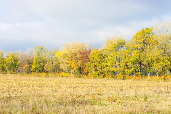 Beau paysage d'automne — Photo