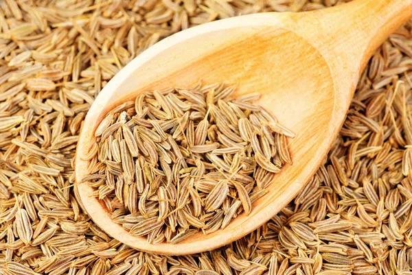 Cumin seeds macro and wooden spoon as background — Stock Photo, Image