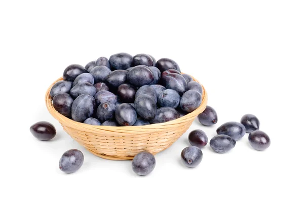 Prugne fresche blu in cesto di frutta sullo sfondo bianco — Foto Stock