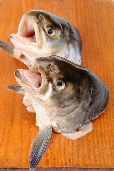 Головы лосося на разделочной доске, изолированные на белом фоне — стоковое фото