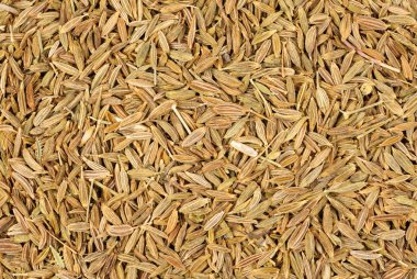 Kimyon tohumları baqckground