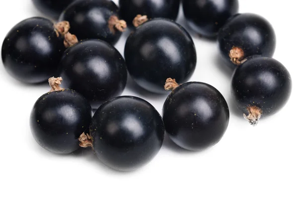 Fresh currant closeup isolated on a white background. — Stock Photo, Image