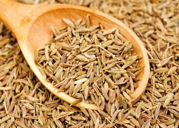 Cumin seeds macro and wooden spoon as background — Stock Photo, Image