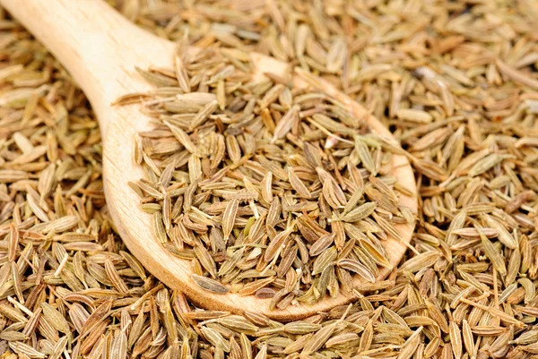 Cumin seeds macro and wooden spoon as background — Stock Photo, Image