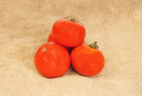 Tomatoes on burlap background — Stock Photo, Image