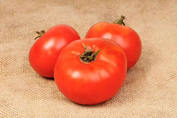 Pomidory na płótnie tło — Zdjęcie stockowe