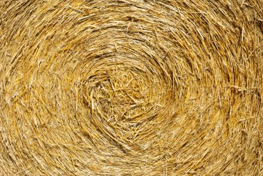 ihay saman yığını doku, tarım arka planı kapat