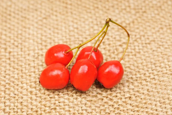 Hawthorn berries on a burlap background — Stock Photo, Image