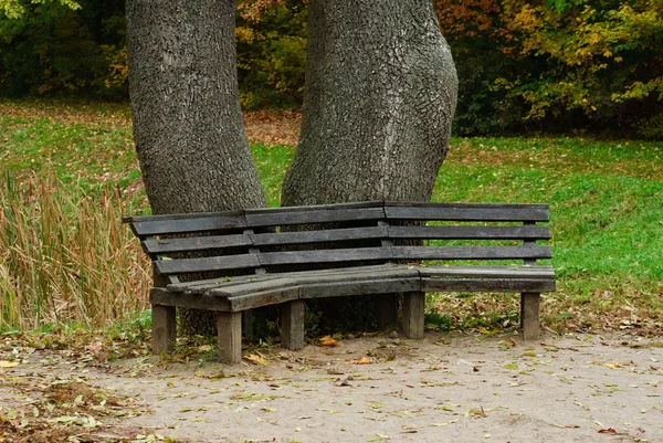 Houten banken in het park Rechtenvrije Stockfoto's