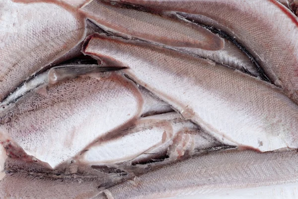 Frozen hake fish as food background — Stock Photo, Image