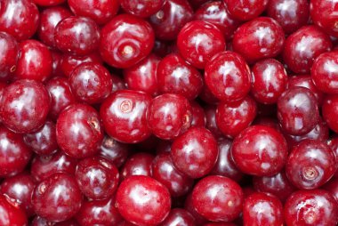 Kırmızı kiraz arkaplanı