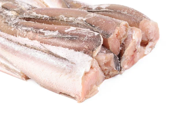 Aislamiento de merluza de pescado congelada en blanco —  Fotos de Stock