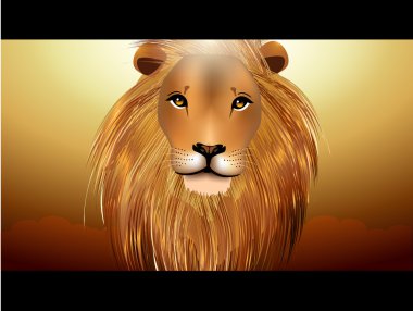 African Lion clipart