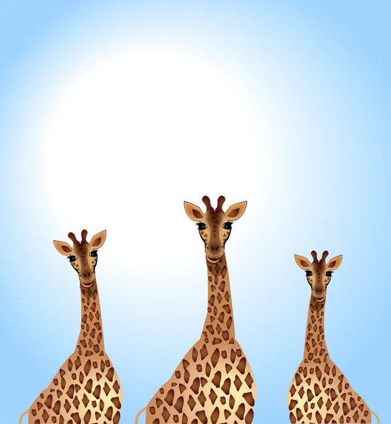 Giraffes family — Stock Vector