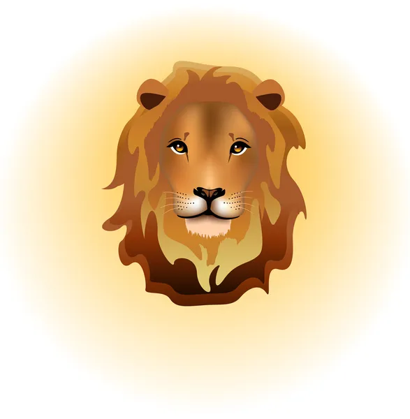 African Lion — Stock Vector