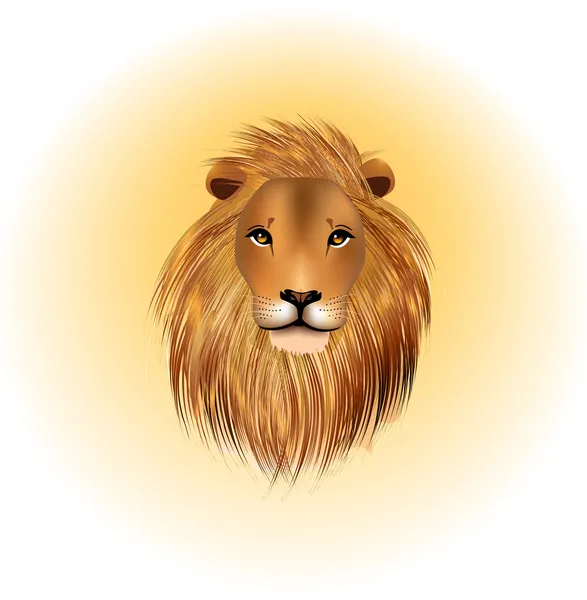 Afrikai oroszlán — Stock Vector