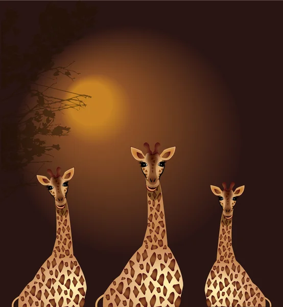 Giraffes family — Stock Vector