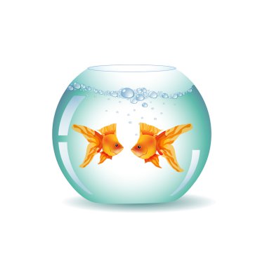 Goldfish yuvarlak kase