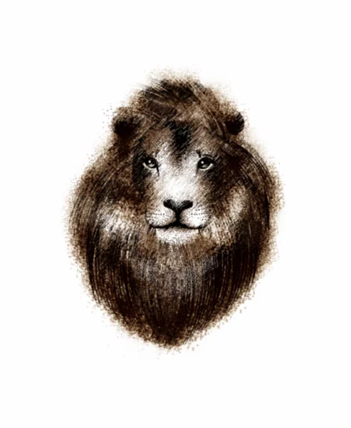 Марочні лев — стокове фото