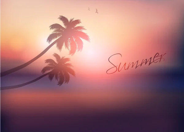 Coucher de soleil palmier — Image vectorielle