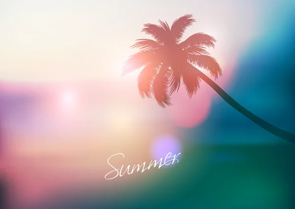 Palm tree sunset — Stock vektor