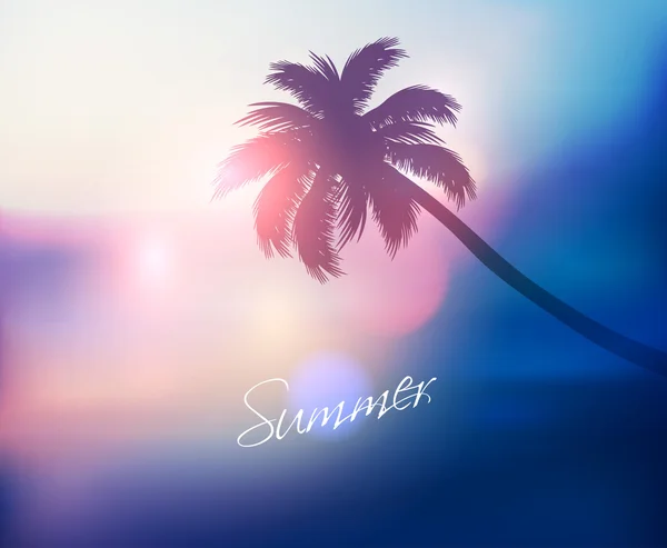 Palm tree sunset — Stock vektor