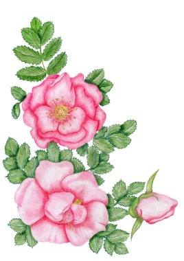 briar çizilmiş köşe