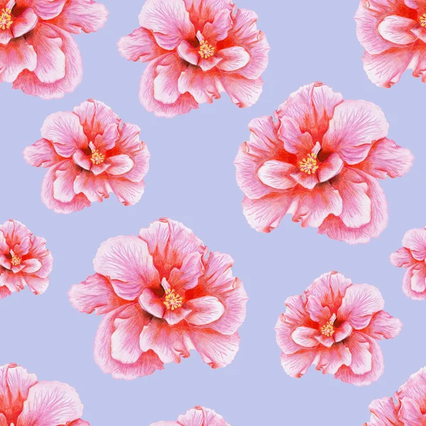 Hand-drawn pink hibiscus seamless pattern — Stock Photo, Image