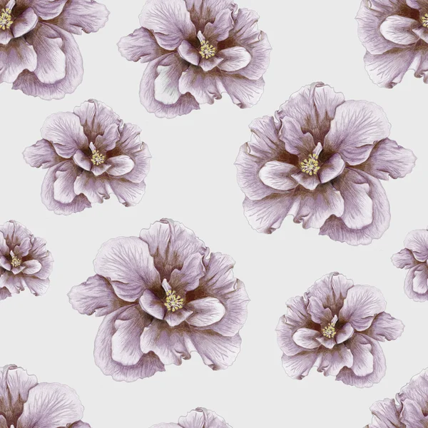 Patrón de hibisco vintage dibujado a mano —  Fotos de Stock