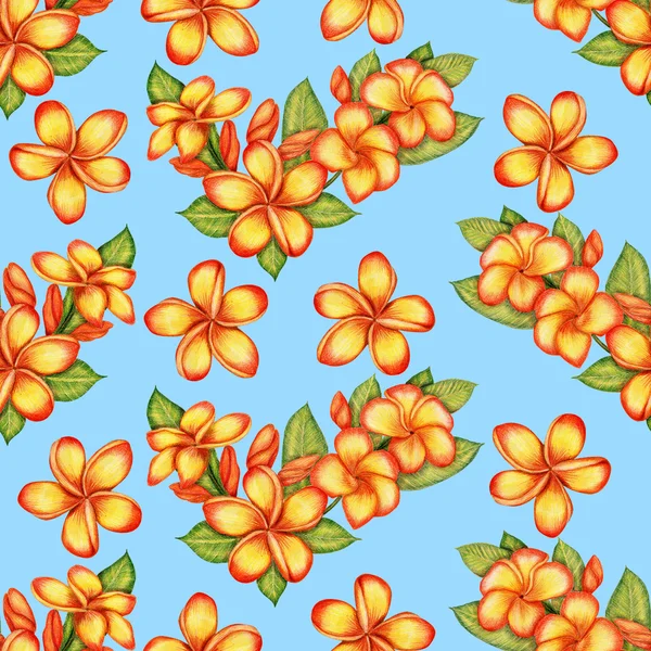 Hand-drawn plumeria seamless pattern — Stock Photo, Image