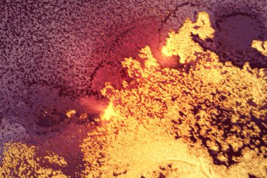 Burgundy ve altın soyut arka plan. Alkol mürekkebi mermer dokusu