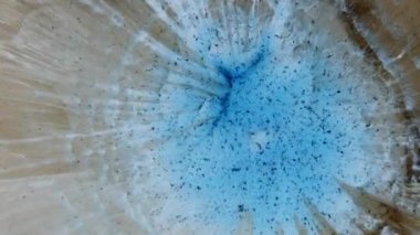 Mavi, siyah noktalar açık arkaplanda bulanıklaşır. Sıvı sanat.