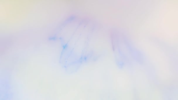 Rayas de colores sobre un fondo blanco. Arte fluido — Vídeos de Stock
