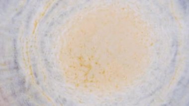 Kırmızı ve mavi noktalar açık arkaplanda bulanıklaşır. Sıvı sanat.