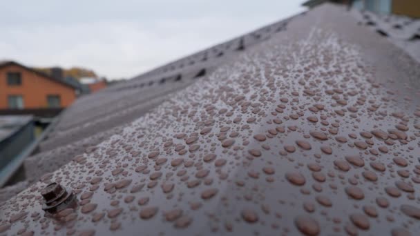Капли дождя на металлической коричневой крыше. — стоковое видео