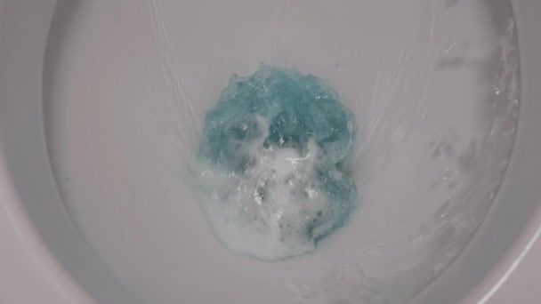 Wasser in der Toilette spülen. — Stockvideo