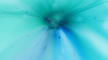 Beyaz arka planda renkli çizgiler. Sıvı Sanat